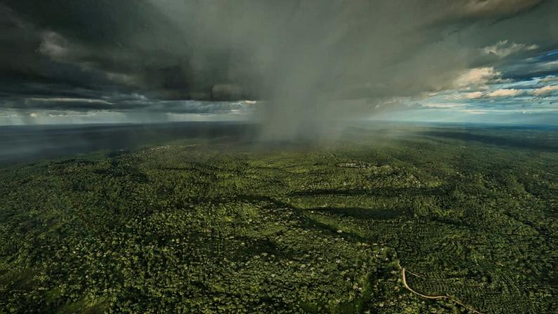 2025 promete ser ano decisivo para o jornalismo da Mongabay