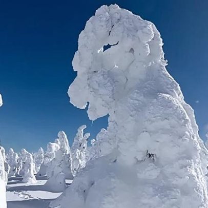 No Japão, monstros de neve que desaparecem intrigam pesquisadores