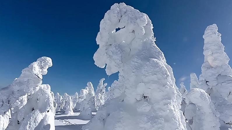 Getty Images Dozens of snow-covered trees appear like figures, with the tree in the foreground appearing particularly like a monster. A blue sky is seen behind them (Credit: Getty Images)