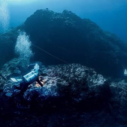 Montanhas submersas onde tubarões dominam o ecossistema