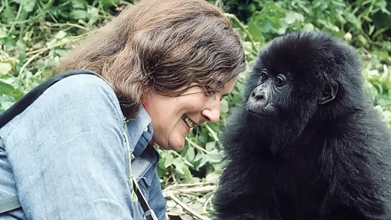 Ian Redmond Dian Fossey smiling as she sits beside a young gorilla named Poppy (Credit: Ian Redmond)