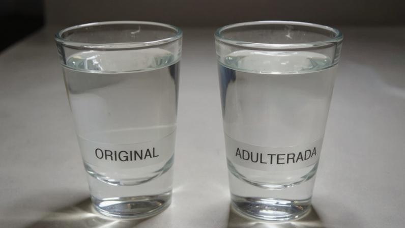 © UFPR/Divulgação