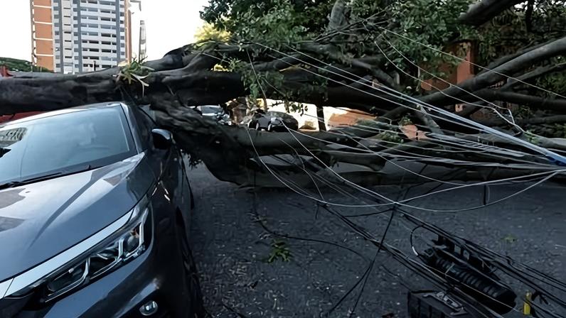 Mais de 800 mil ficam sem energia na Grande São Paulo, diz Enel
