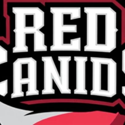 RED Canids Academy x METANOIAGG em 15/12/2025 com estatísticas e resultado
