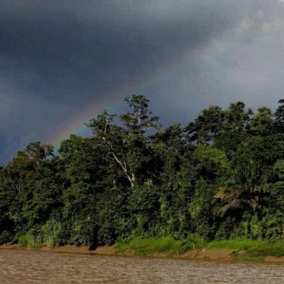 Jornalismo da Mongabay gera impacto em 2025
