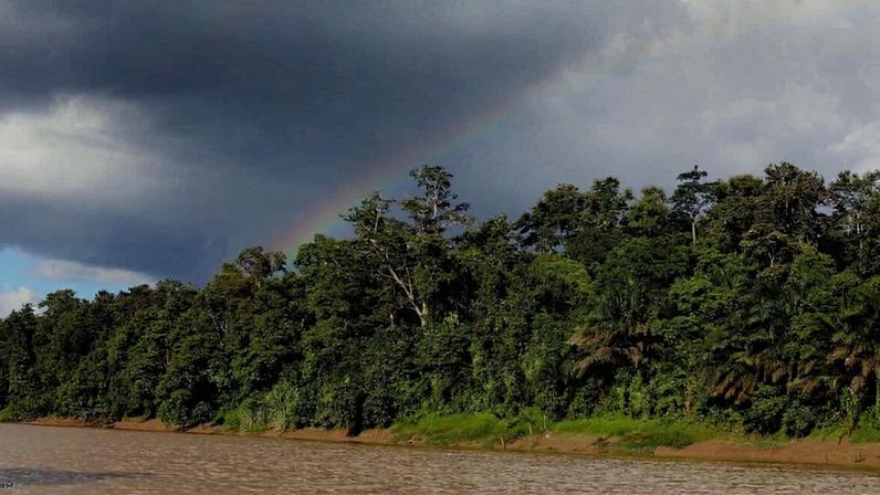 Jornalismo da Mongabay gera impacto em 2025