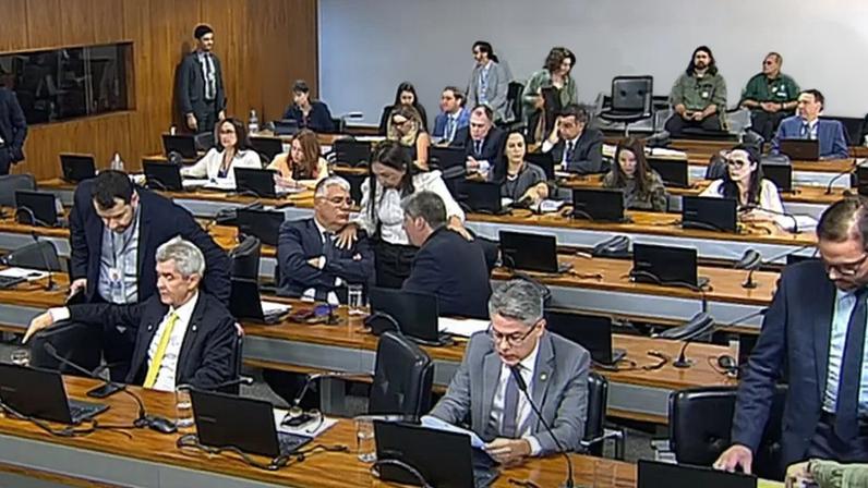 (Foto: reprodução/Youtube TV Senado)