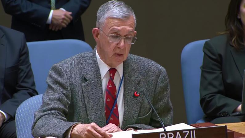 Embaixador Sérgio Danese, representante do Brasil na ONU. (Foto: reprodução/Youtube ONU)
