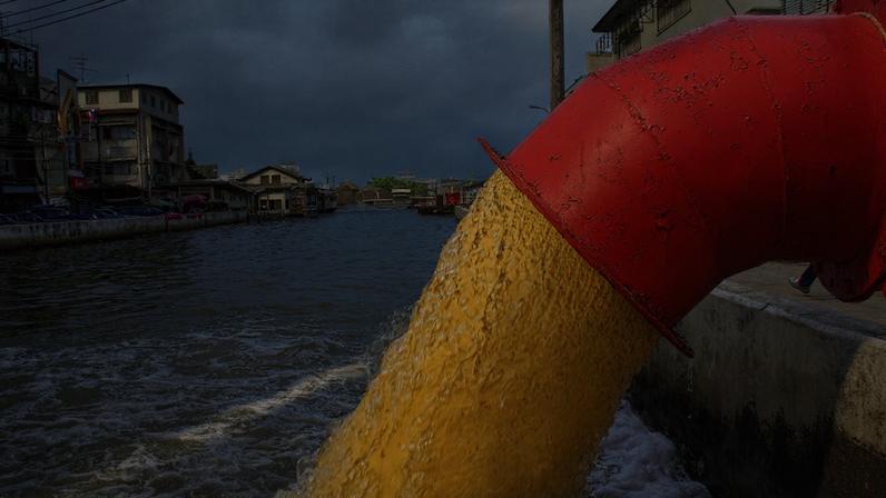 Ondas de calor no oceano e esgoto cru elevam risco à saúde humana