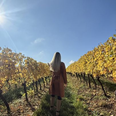 Maison Arnaud Boué: vinícola da Borgonha se torna referência em vinhos premium