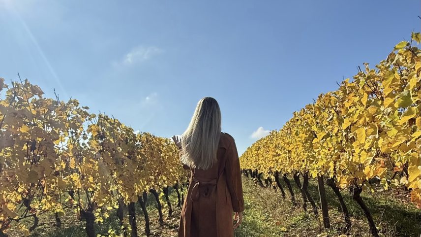 Maison Arnaud Boué: vinícola da Borgonha se torna referência em vinhos premium