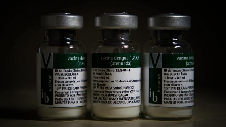 Ministério da Saúde inicia vacinação contra dengue em janeiro