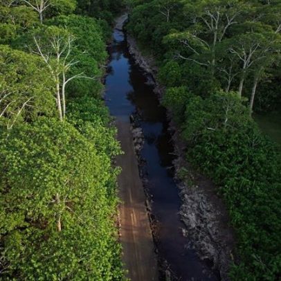 Novas estradas aumentam desmatamento em território indígena do Equador