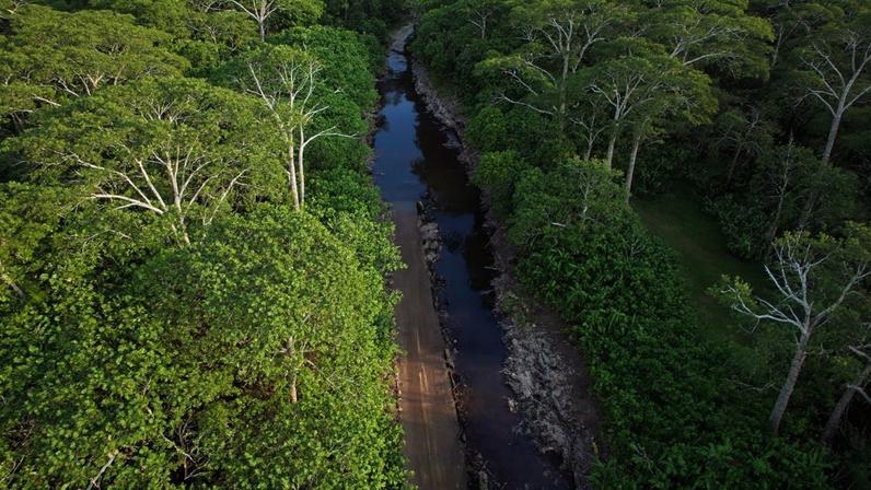 Novas estradas aumentam desmatamento em território indígena do Equador