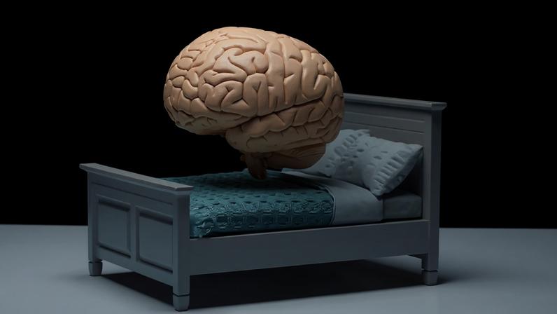 Imagem de um cérebro em cima de uma cama.