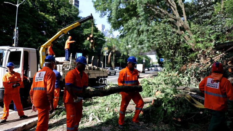 Profissionais da prefeitura trabalham para remover árvore caída na avenida 23 de Maio após tempestade com fortes ventos na capital paulista. O mau tempo tem causado falhas da Enel SP no forncecimento de energia. (Foto: Rovena Rosa / Agência Brasil)