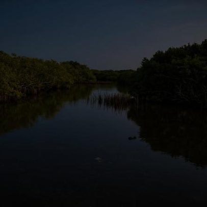 Do sul ao norte, sonhos de críquete no Sri Lanka afetam ecossistemas frágeis