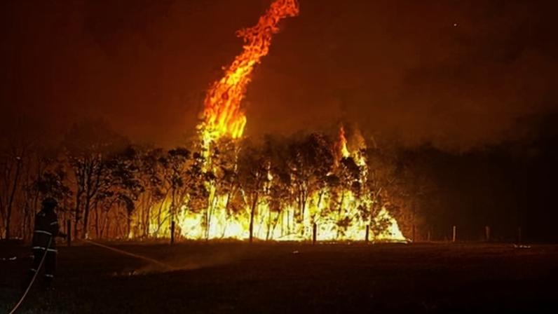 A bushfire burning along near Nabiac on the NSW mid-north coast last week. Total fire bans are expected to continue as the mercury rises this week.