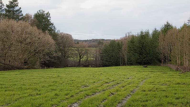 A mixed wood will be planted on the land near Hatherleigh in Devon
