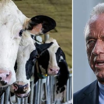Guia alimentar de RFK Jr. com carne exige grandes áreas de terra adicionais