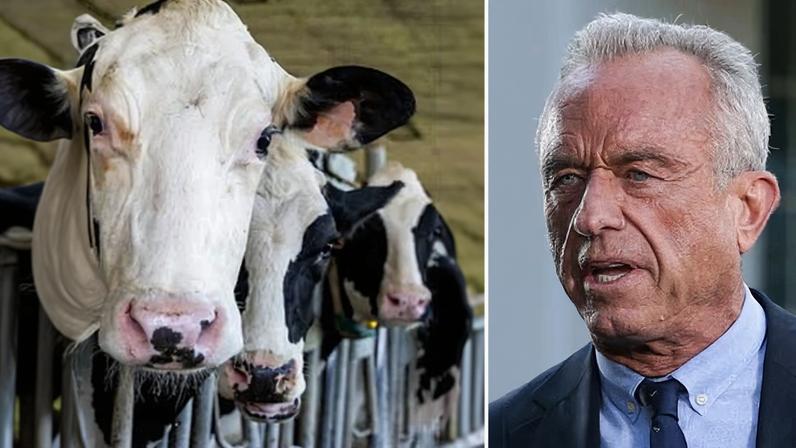 Robert F Kennedy Jr’s meat-heavy diet plan would have significant climate impacts.