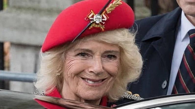 Queen Camilla supports the UK military’s credit unions which provide an ‘ethical and affordable alternative to high-cost lenders’ for service personnel.
