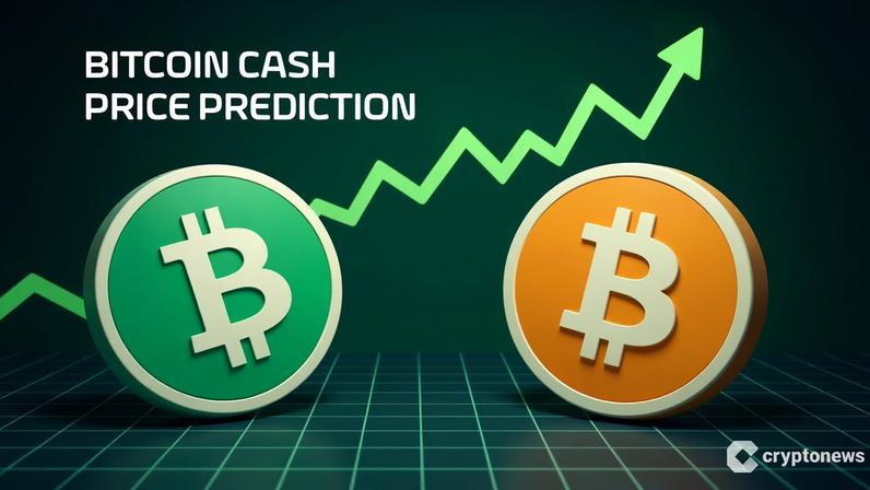 Análise aponta caminho de BCH até US$1.000; pode superar o Bitcoin?