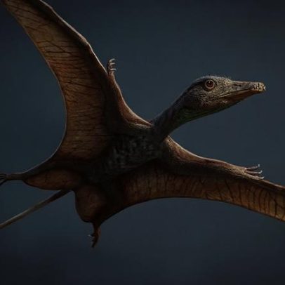 Pterossauros evoluíram cérebro e corpo juntos para voar