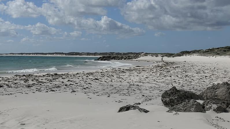 Mergulhador desaparecido em WA; NSW busca dois em mar agitado