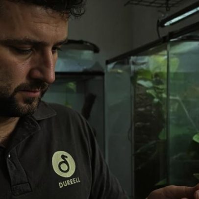 Zoológico nomeia curador de anfíbios e invertebrados