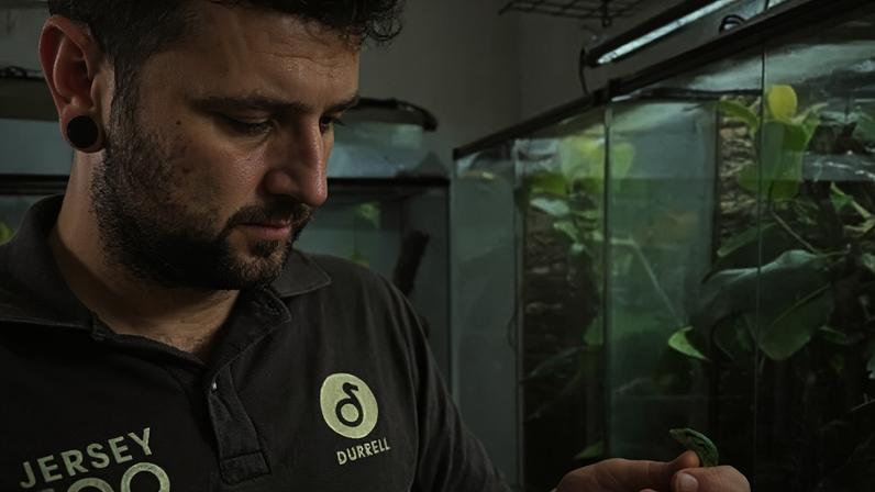 Zoológico nomeia curador de anfíbios e invertebrados