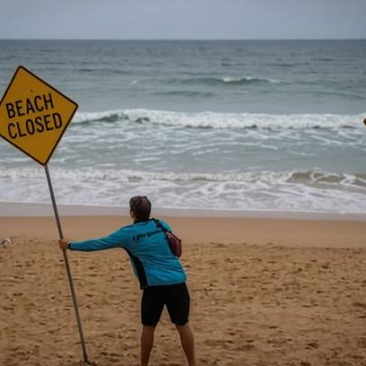 Surfista é atacado por tubarão na costa norte de NSW, quarto incidente em três dias