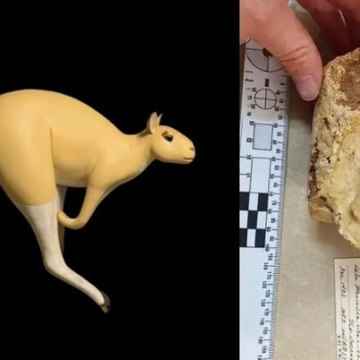 Cangurus pré-históricos de até 250 kg ainda saltavam, aponta estudo
