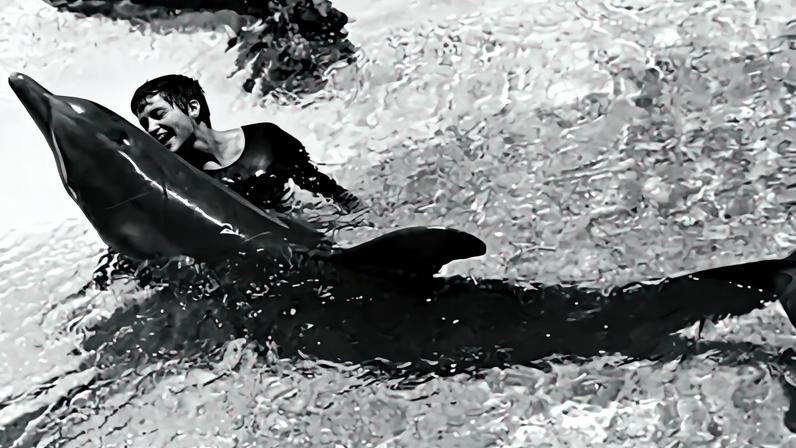 Fotografia da Margaret Lovatt na Dolphin House em St Thomas.
