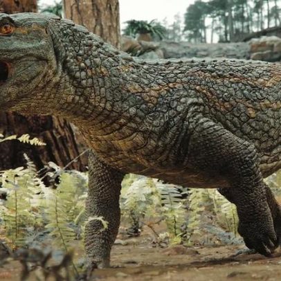Novo réptil fóssil revela antiga conexão entre Brasil e África