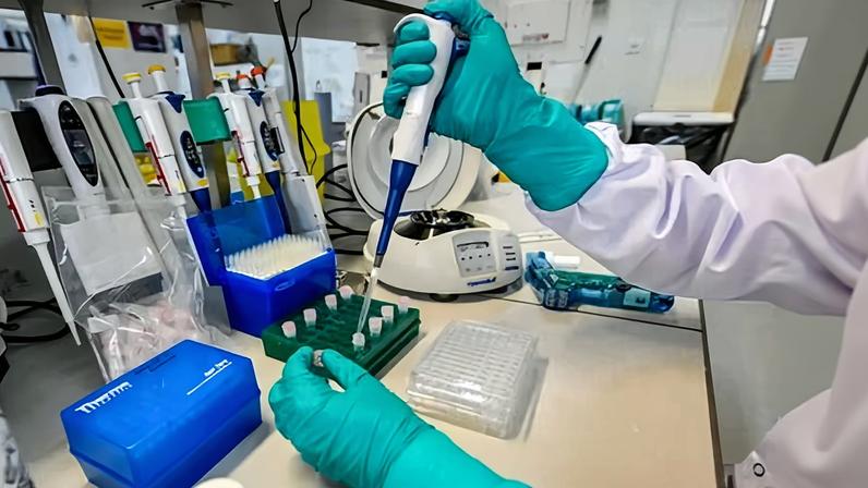 Work by scientists at the laboratory helped national security efforts linked to the 2018 Salisbury novichok poisoning and the Covid pandemic.