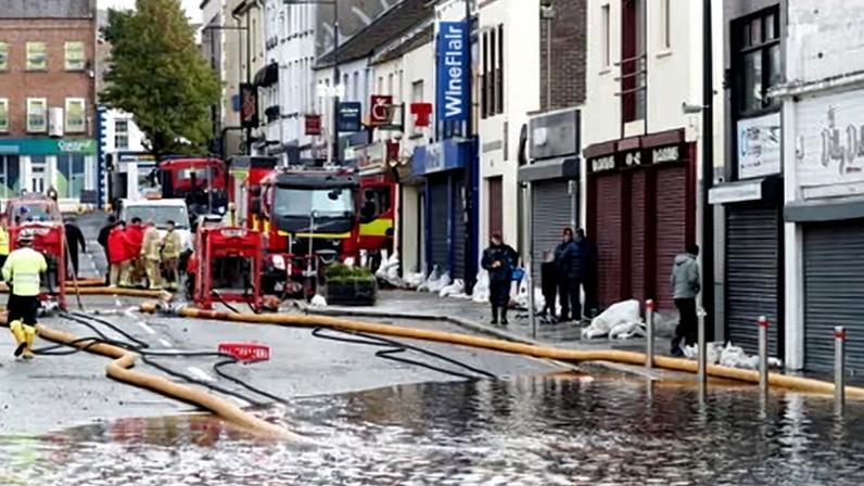 Metas de fauna podem não ser atingidas na Inglaterra e Irlanda do Norte, diz órgão