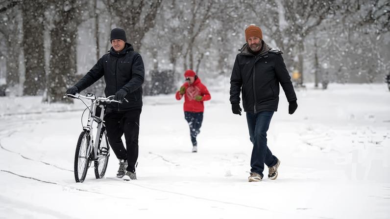 Snow falls at Prospect Park in Brooklyn, New York, on 17 January 2026.