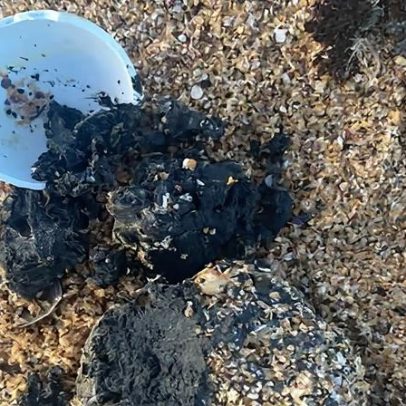Bolas de fezes aparecem em praias de Sydney após fatberg ficar preso na planta de tratamento