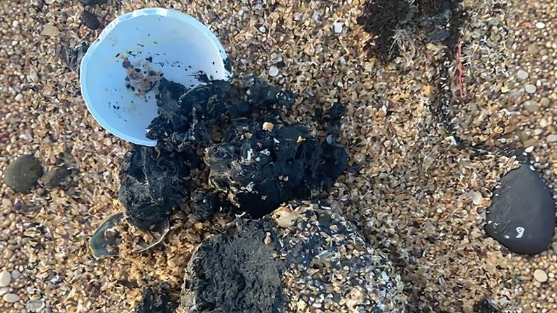 Debris balls are being cleared from the beach at Malabar.
