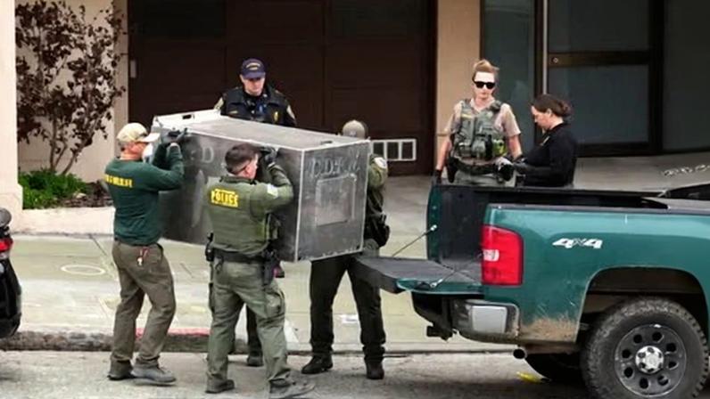 California officials carry a tranquilized mountain lion in a cage after it was captured on Tuesday in San Francisco.
