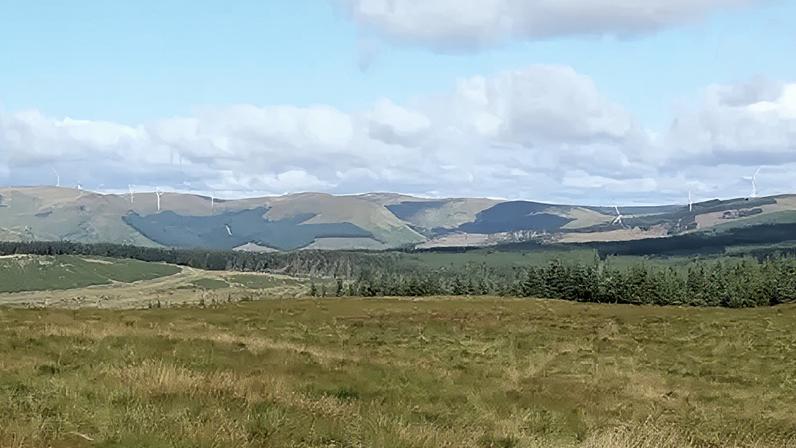 A view of rolling hills in the south of Scotland with some wind turbines dotted along them