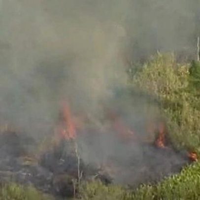 Duas mortes em acidente de avião perto da Gold Coast, incêndio florestal