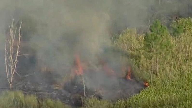Two people have died in a plane crash that ignited a bushfire at a regional airport near the Gold Coast.