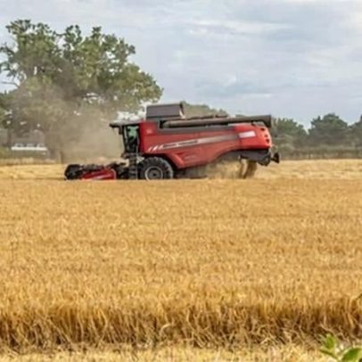 Fazendas menores da Inglaterra terão prioridade em financiamento ambiental
