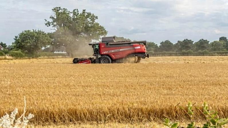 Fazendas menores da Inglaterra terão prioridade em financiamento ambiental