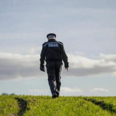 Pode ocorrer ferimento grave a fazendeiro na caça a coelhos em Wiltshire