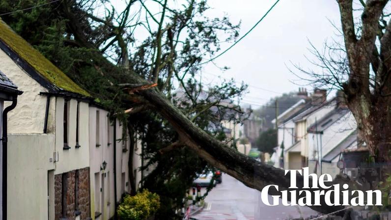 A fallen tree leans on a cottage in Goldsithney.