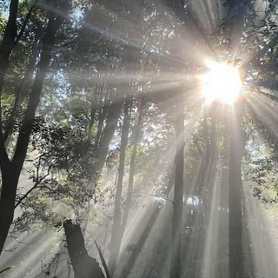 Corpo de garoto adolescente é encontrado em riacho após acampamento nas Blue Mountains
