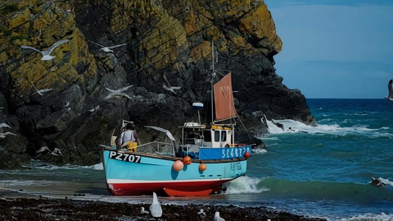 Mercados podem ajudar consumidores britânicos a comer peixe local mais sustentável